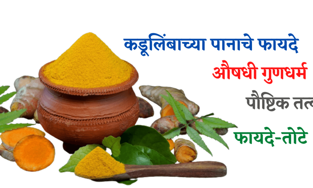 कडूलिंबाच्या पानांचे फायदे Benefits of Neem Leaves in Marathi