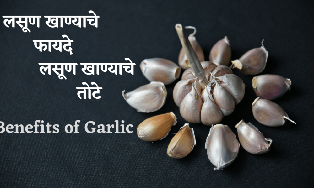लसूण खाण्याचे फायदे मराठी Benefits of eating garlic Marathi