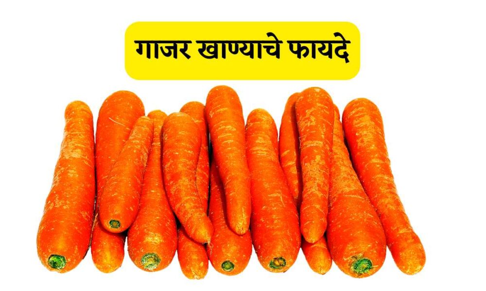 गाजर खाण्याचे फायदे Gajar Khanyache Fayde in Marathi