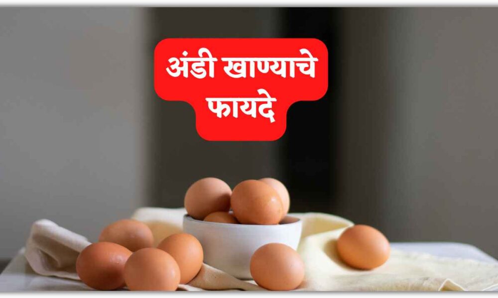 अंडी खाण्याचे फायदे । Benefits of Eating Eggs Marathi Information