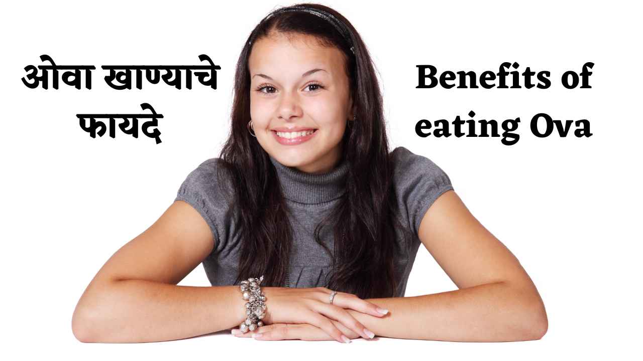 ओवा खाण्याचे फायदे व तोटे | Advantages and Disadvantages of Eating Ova in Marathi
